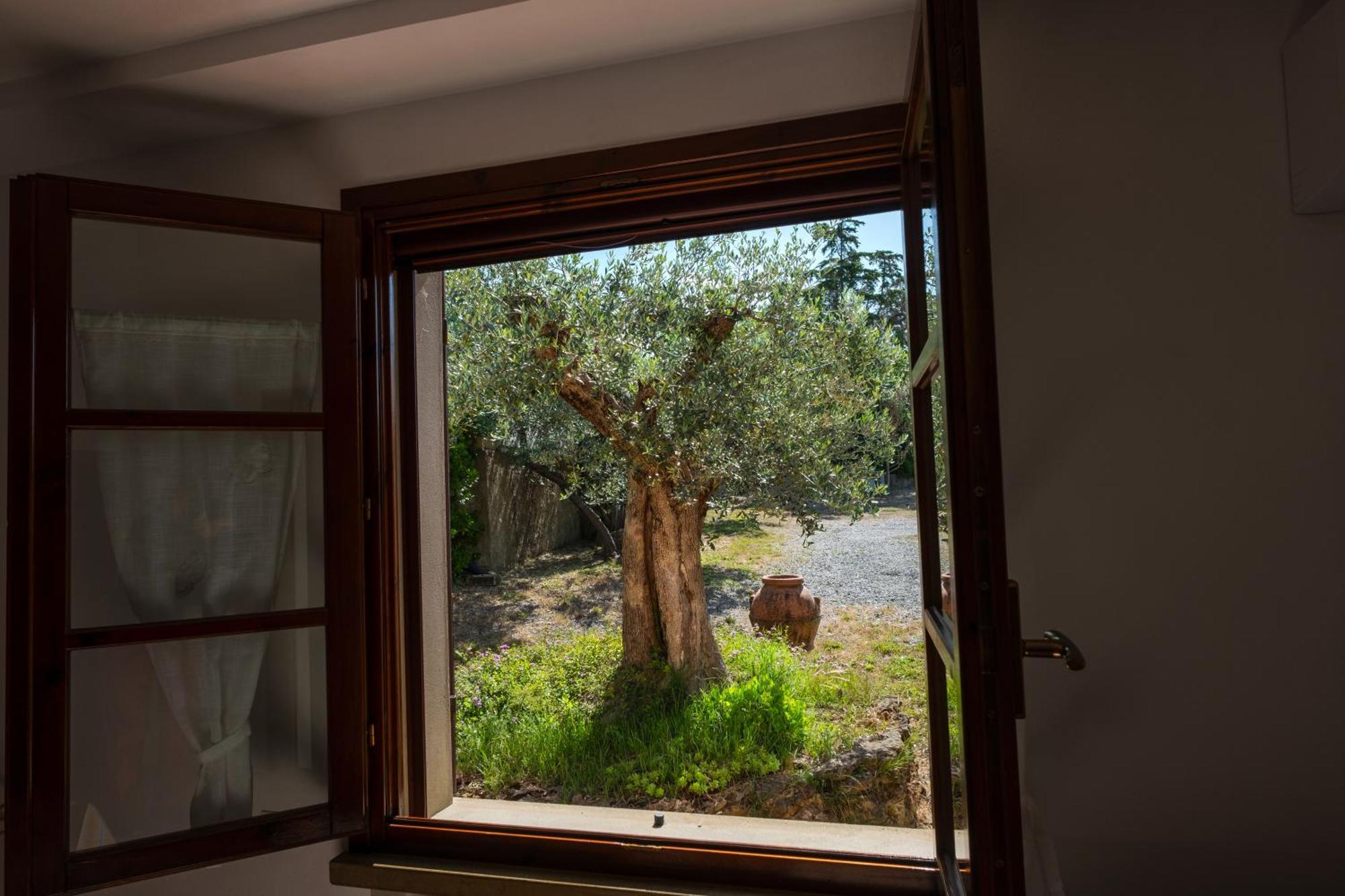Agriturismo I Cerroni Монтескудайо Экстерьер фото